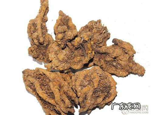 黄连的神奇功效与作用 黄连的功效与作用