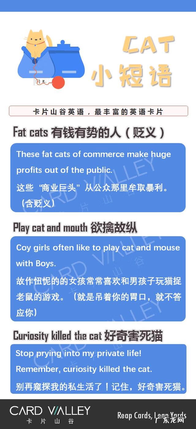hiscatandmouse catandmouse什么意思