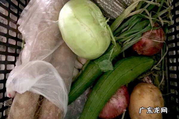 人为什么总是放屁什么原因 经常放屁是因为什么原因啊