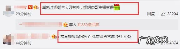 谢娜又怀孕了是真的吗 谢娜现在怀孕了吗