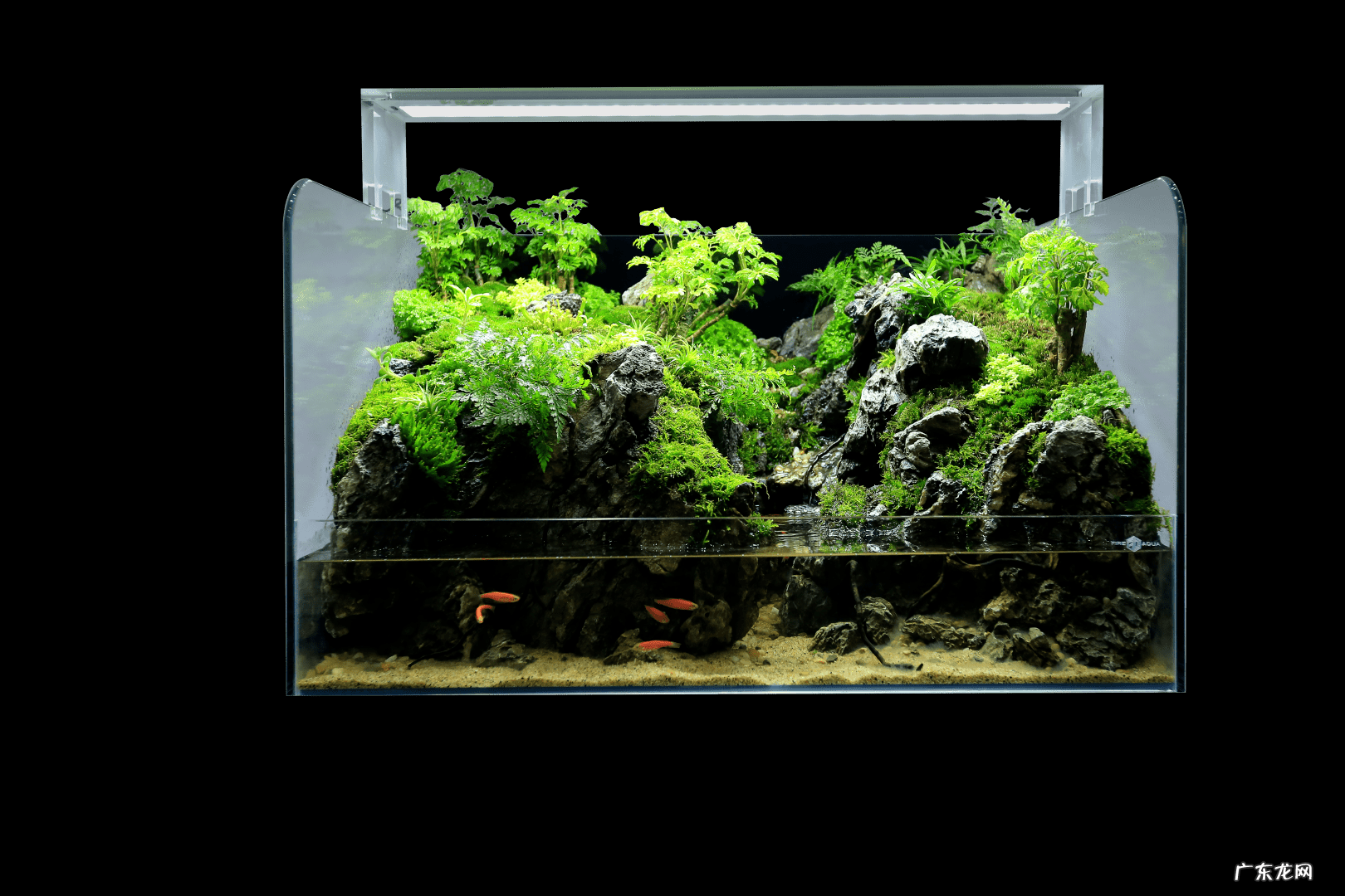 水陆缸雾化器 风水轮的雾化器怎么安装