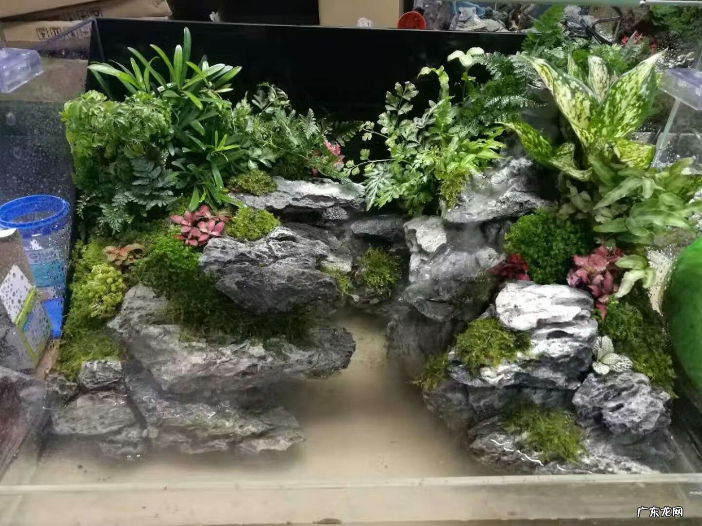 水陆缸雾化器 风水轮的雾化器怎么安装