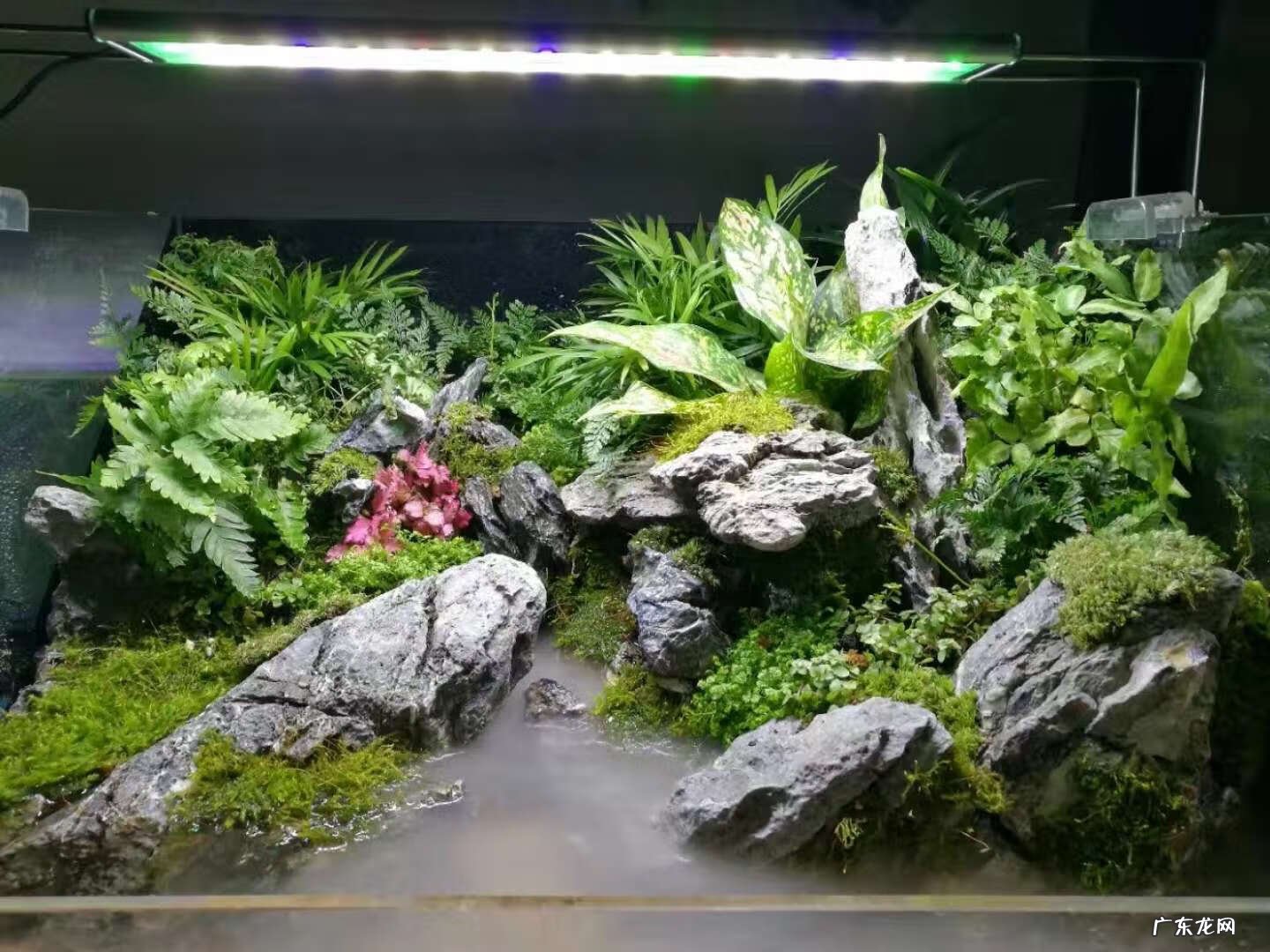 水陆缸雾化器 风水轮的雾化器怎么安装