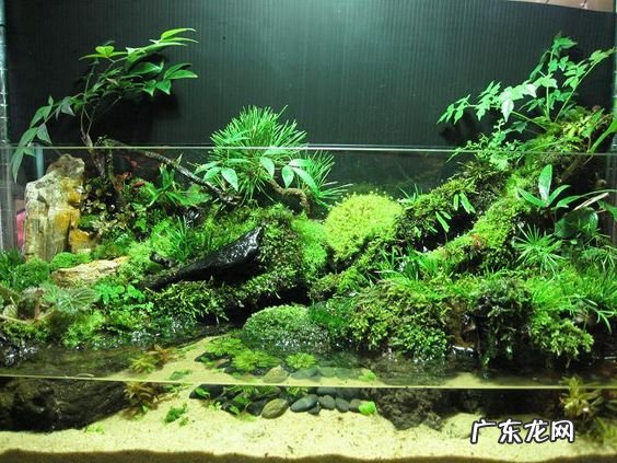 水陆缸雾化器 风水轮的雾化器怎么安装