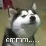 连词的类型 连词有哪些