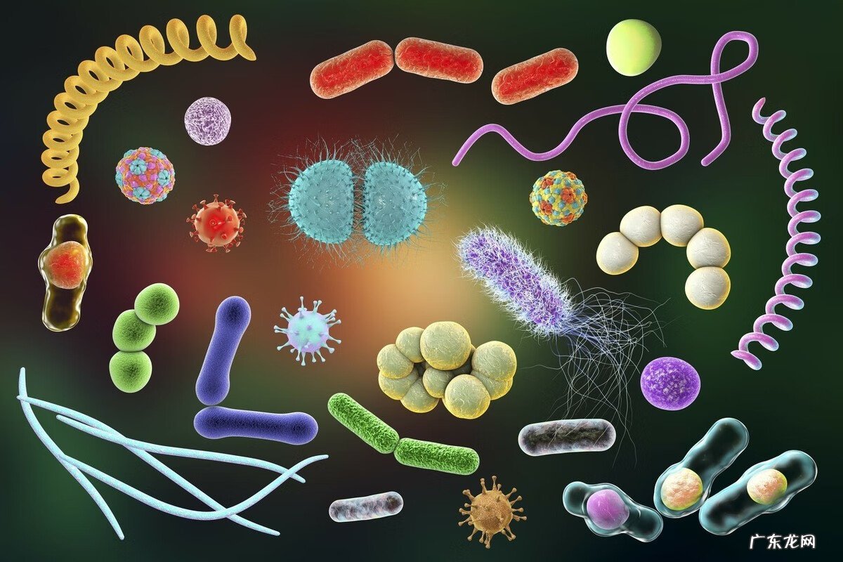 小孩支原体发炎什么症状 小儿支原体感染症状有哪些