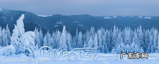 苹果手机强制重启方法 macos怎么重启