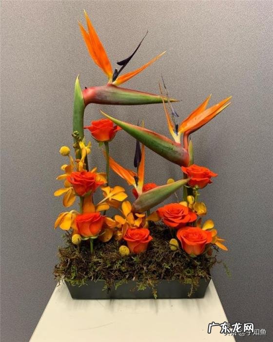 天秤男和射手女在一起会怎么样呢 射手座和天秤座的爱情匹配值是多少?