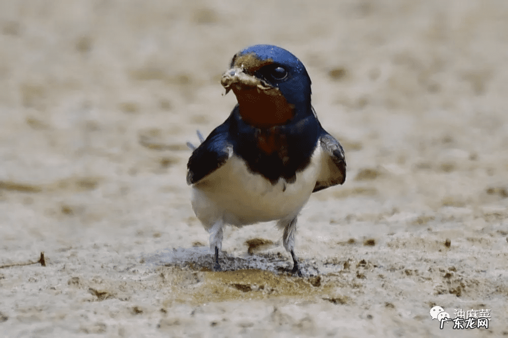 东北方向在风水上是什么方位 门口向东的风水好吗