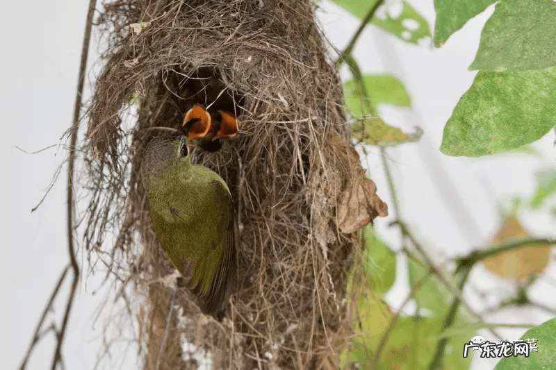 东北方向在风水上是什么方位 门口向东的风水好吗