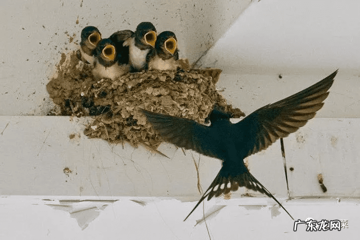 东北方向在风水上是什么方位 门口向东的风水好吗