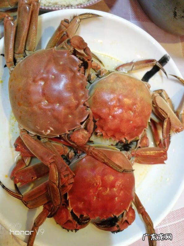 生死格斗演员 生死格斗