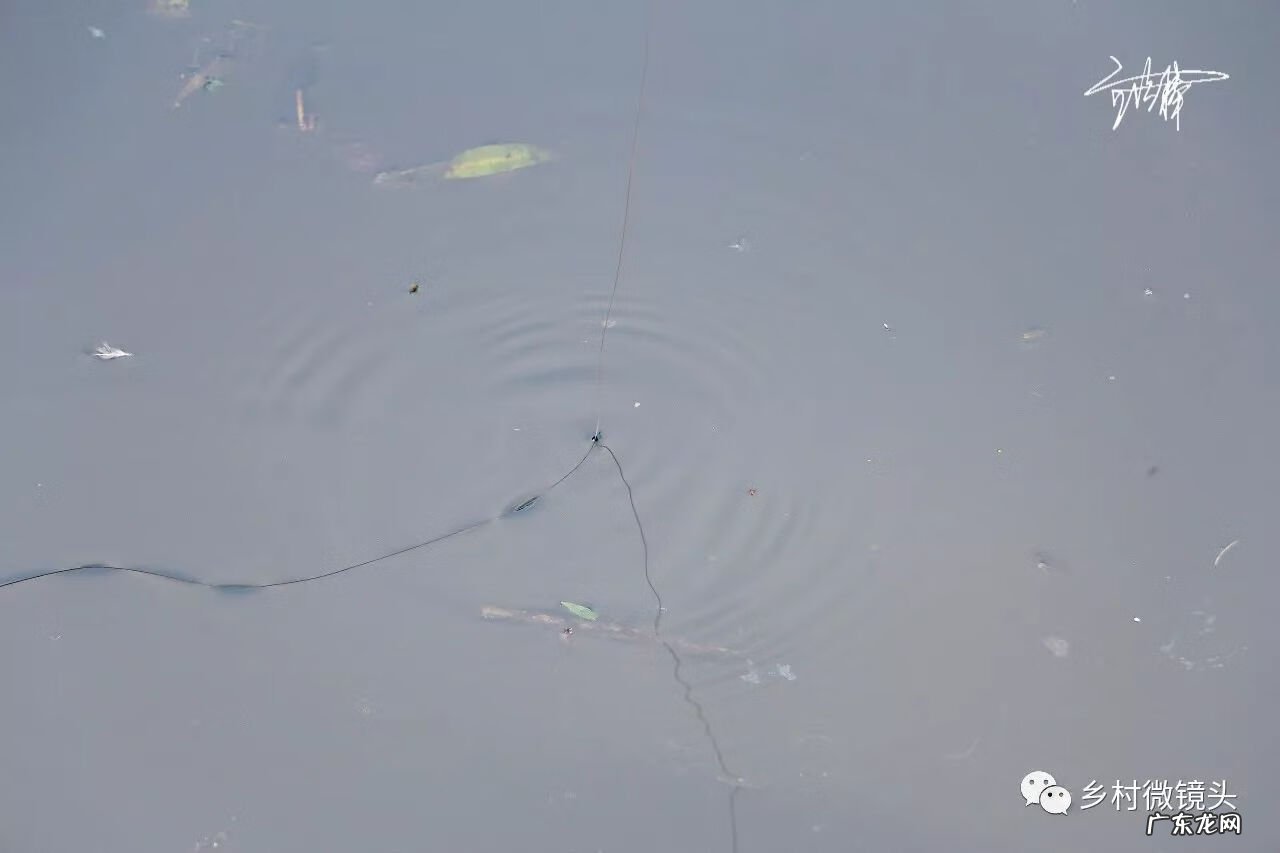 英德水村下坪 罗湖下坪风水事件