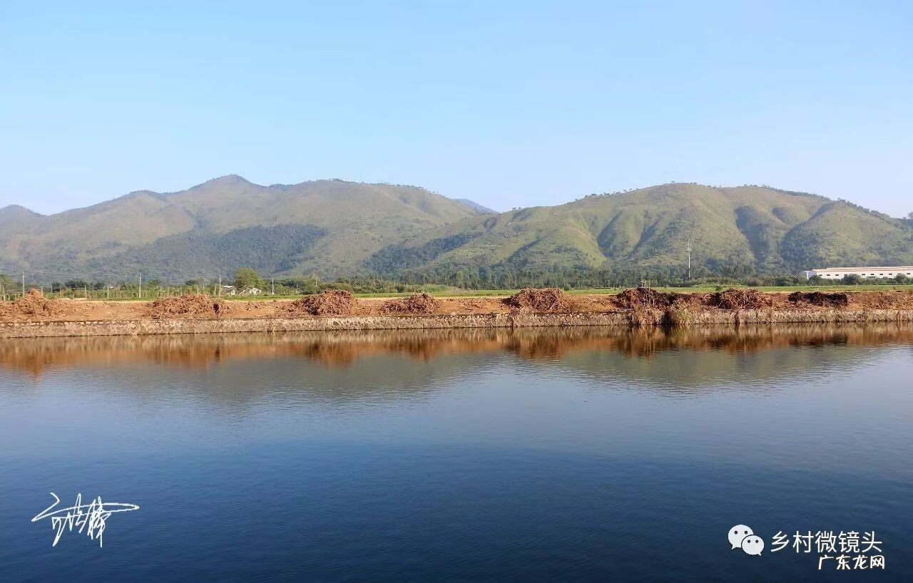 英德水村下坪 罗湖下坪风水事件