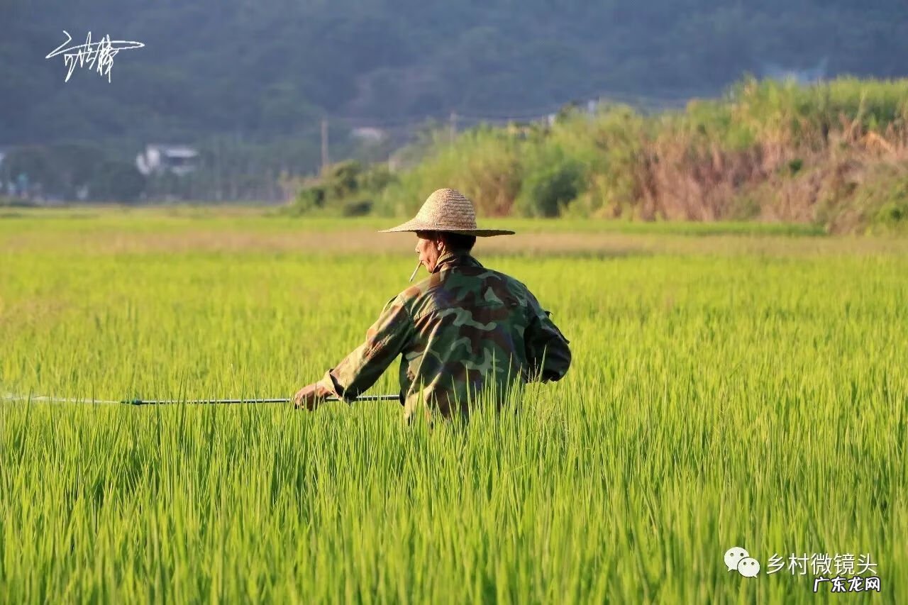 英德水村下坪 罗湖下坪风水事件