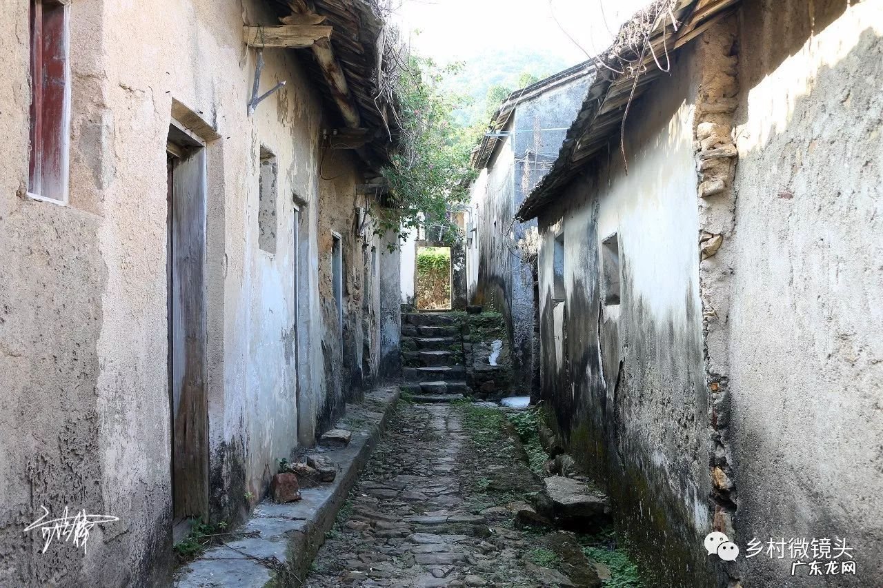 英德水村下坪 罗湖下坪风水事件