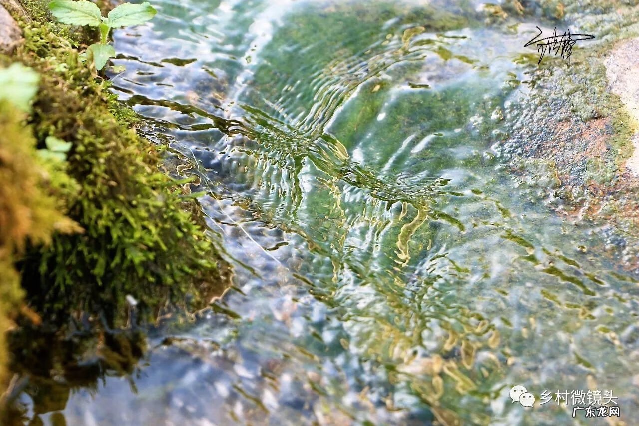 英德水村下坪 罗湖下坪风水事件