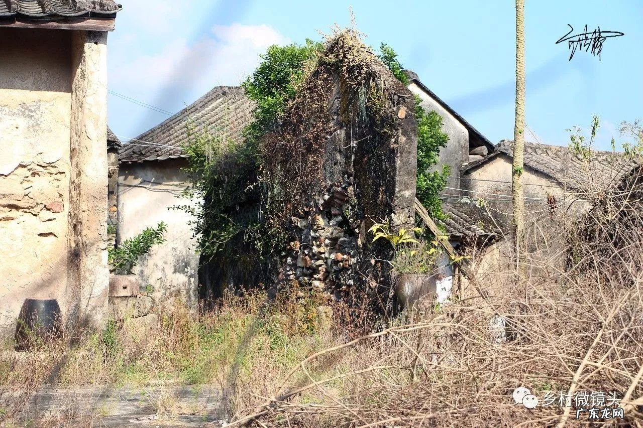 英德水村下坪 罗湖下坪风水事件