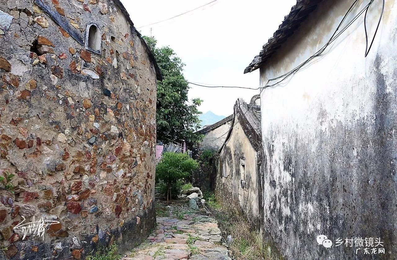 英德水村下坪 罗湖下坪风水事件