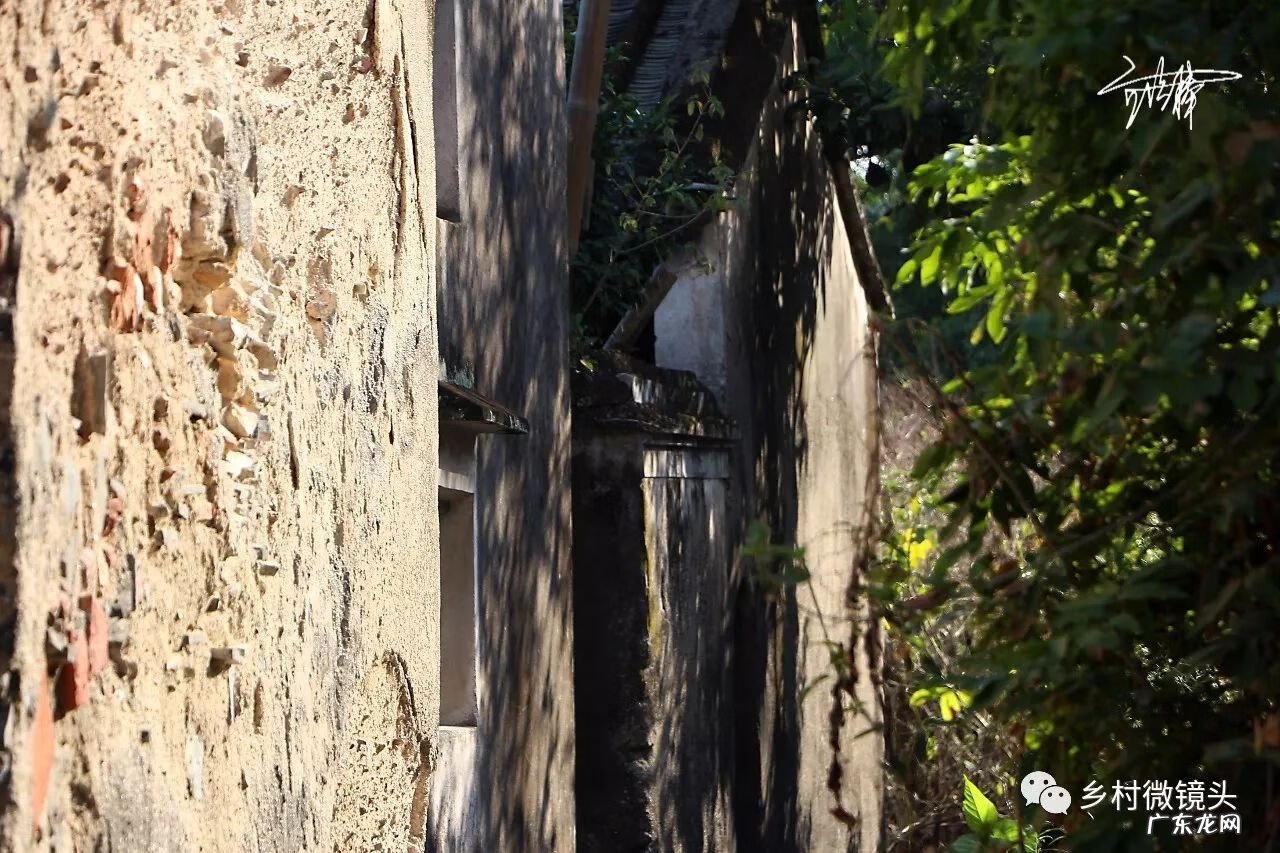 英德水村下坪 罗湖下坪风水事件
