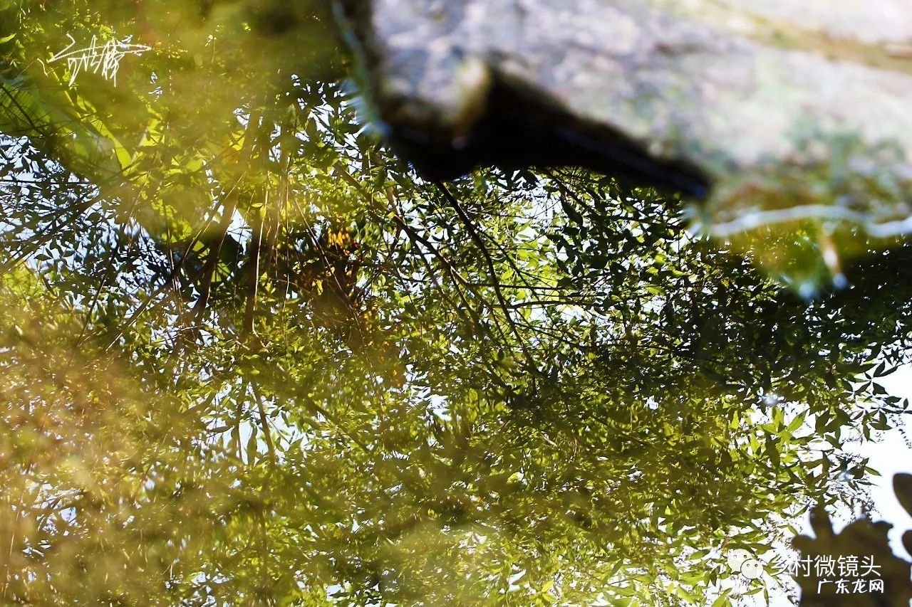 英德水村下坪 罗湖下坪风水事件