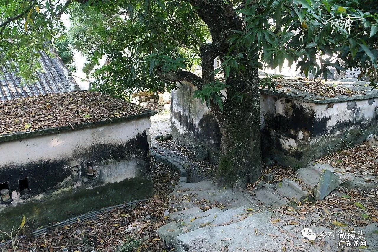 英德水村下坪 罗湖下坪风水事件