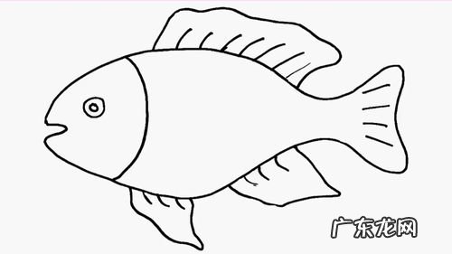 画100种小鱼简笔画,一步一步来画 一笔画小狗