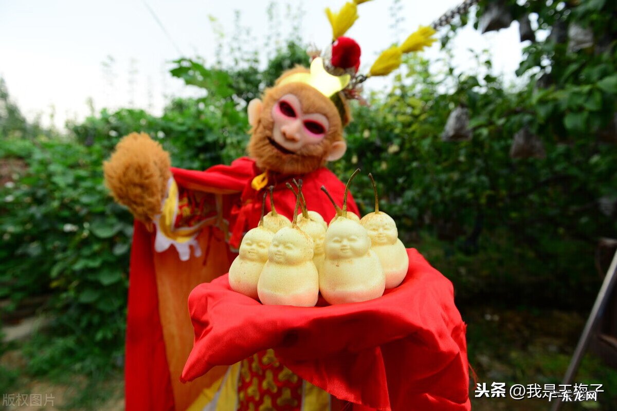 人参果怎么吃好吃