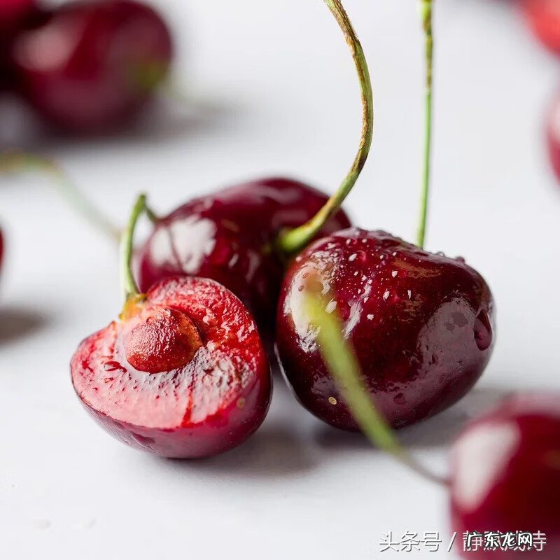 车厘子和大樱桃有啥区别 车厘子和樱桃的区别是啥