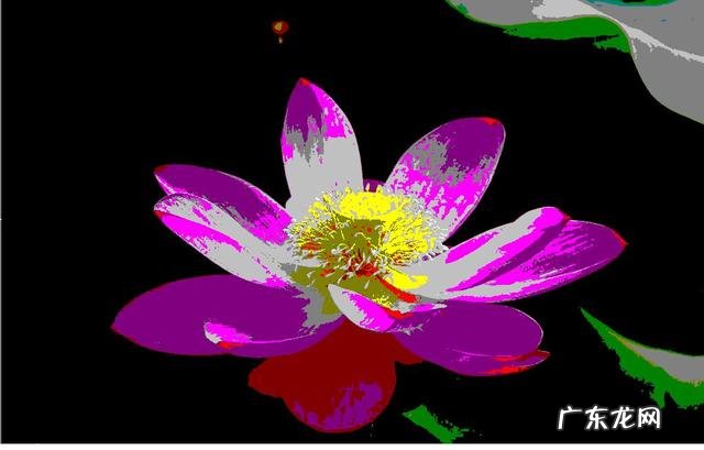 解析视频码率和帧速率的区别在哪 导出视频码率越高越好吗