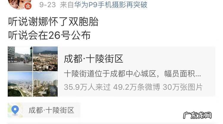 谢娜又怀孕了是真的吗 谢娜有没有怀孕啊