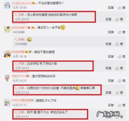 谢娜又怀孕了是真的吗 谢娜有没有怀孕啊