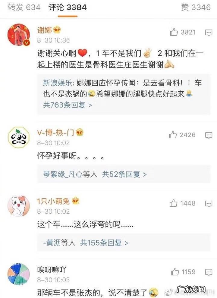 谢娜又怀孕了是真的吗 谢娜有没有怀孕啊