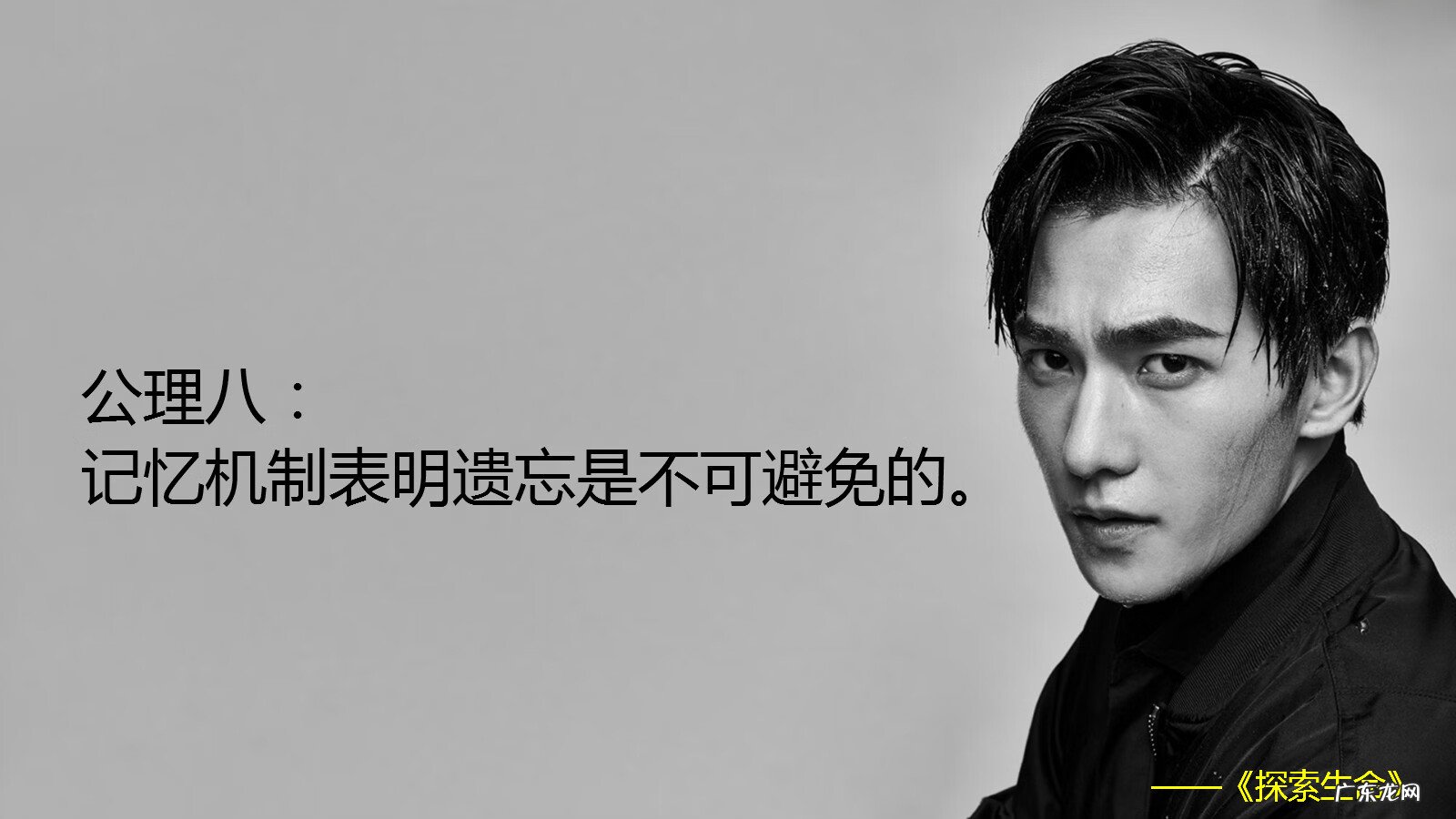 大脑发育过程 大脑发育