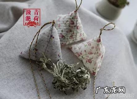 艾草为什么能驱蚊 艾草驱蚊吗