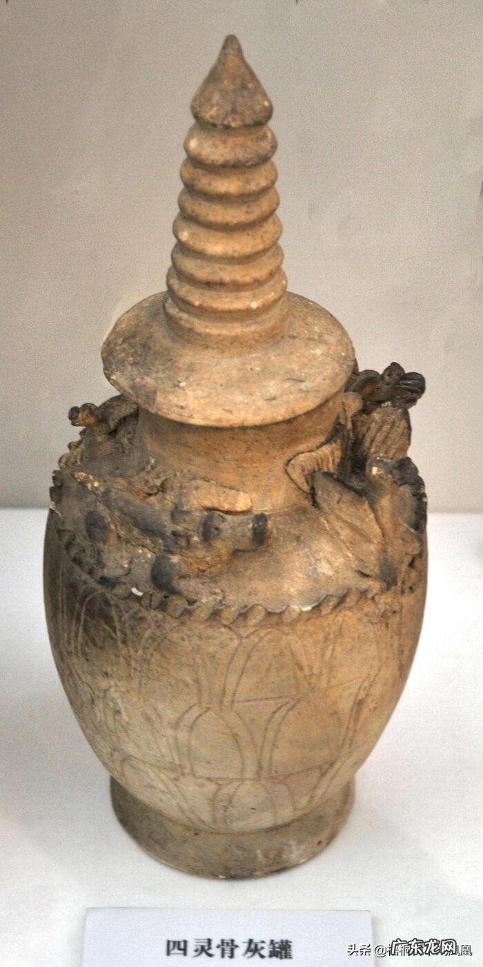 风水龟是什么品种 龟形哪个部位风水最佳