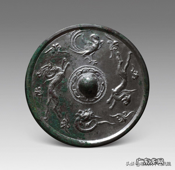 风水龟是什么品种 龟形哪个部位风水最佳