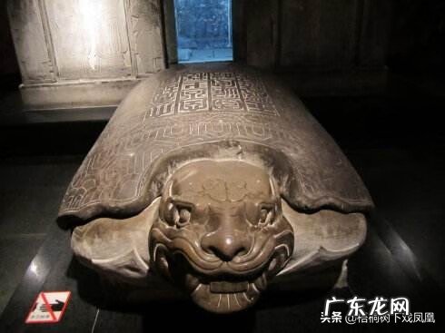 风水龟是什么品种 龟形哪个部位风水最佳