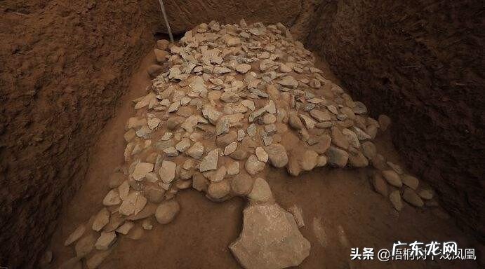 风水龟是什么品种 龟形哪个部位风水最佳