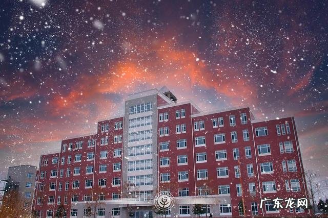 加强学龄前教育 学龄前教育是什么意思