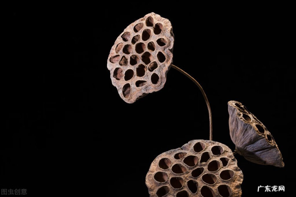 孩子踩脚印 踩脚印什么意思