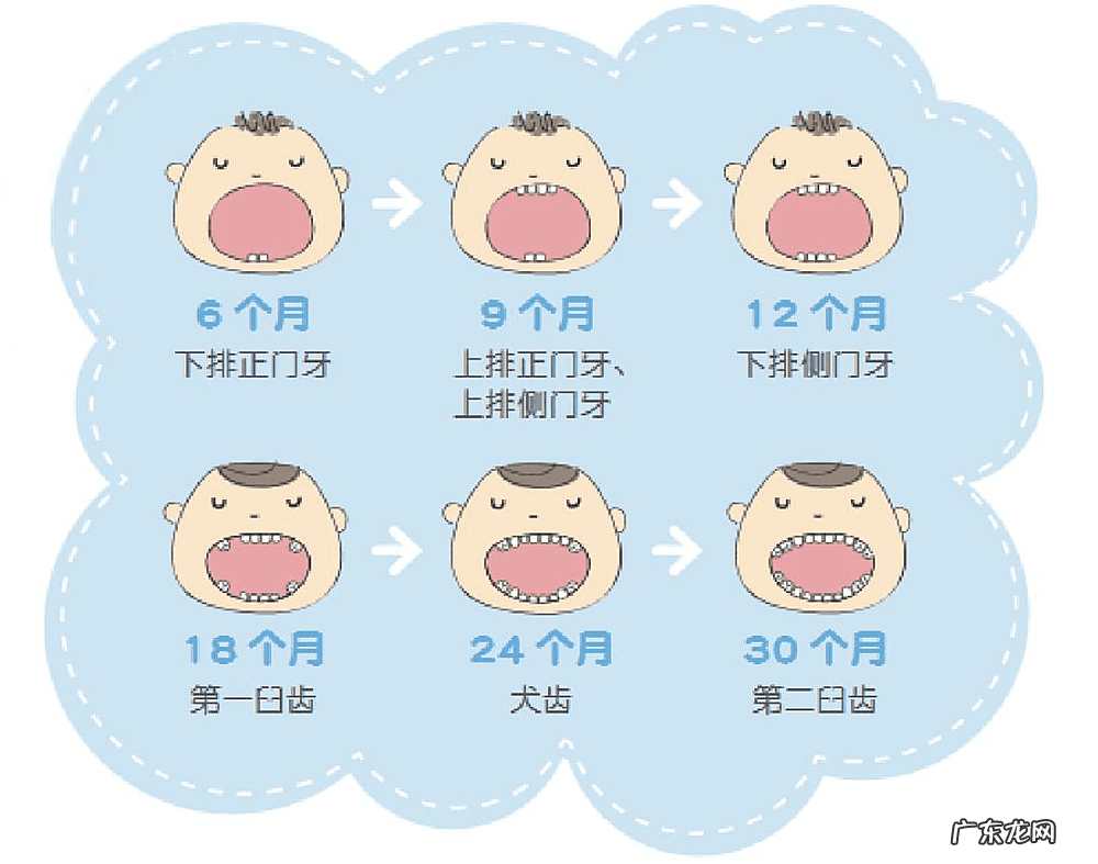 儿童长牙的顺序示意图 宝宝长牙顺序图解