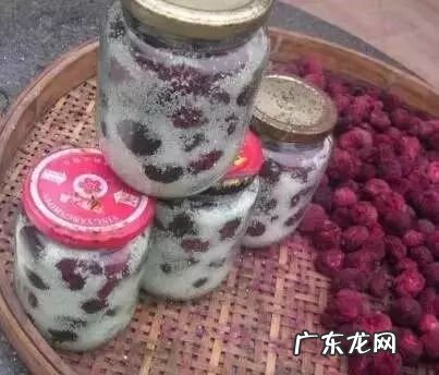 杨梅里面的虫子 杨梅虫子是什么虫