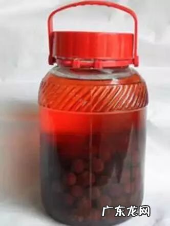 杨梅里面的虫子 杨梅虫子是什么虫