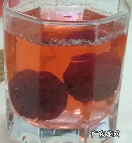 杨梅里面的虫子 杨梅虫子是什么虫