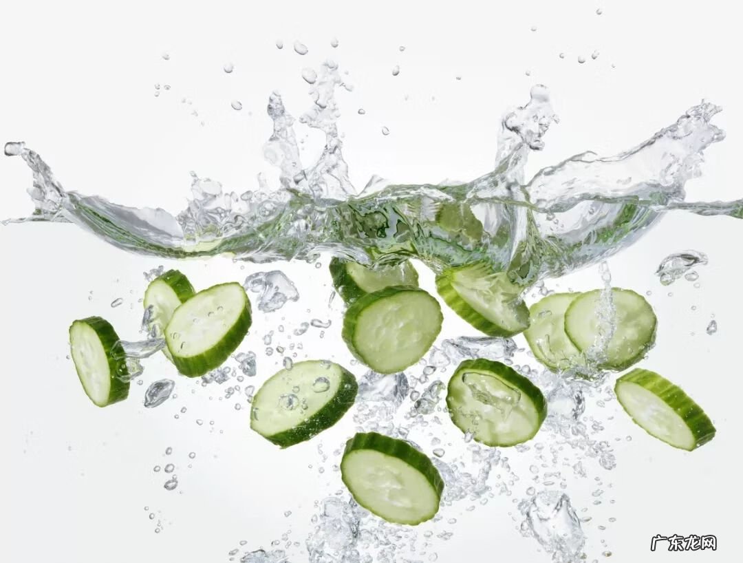 杨梅里面的虫子 杨梅虫子是什么虫