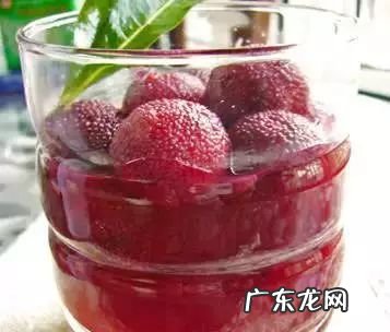 杨梅里面的虫子 杨梅虫子是什么虫