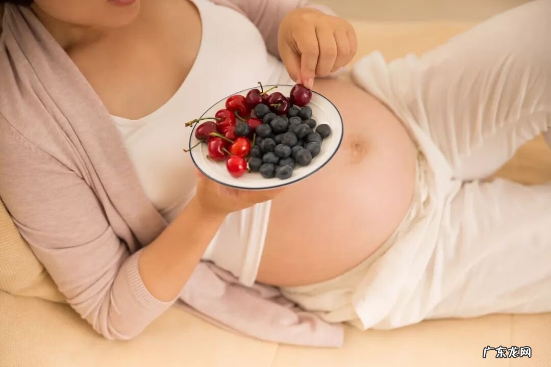 杨梅里面的虫子 杨梅虫子是什么虫