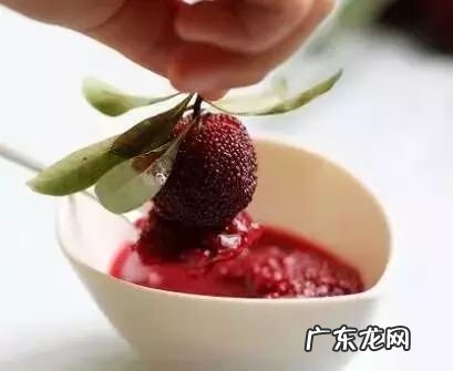 杨梅里面的虫子 杨梅虫子是什么虫