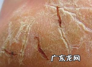 朱砂泡酒的风水作用 鸡血朱砂加白酒有啥作用